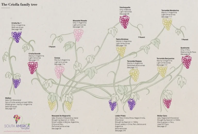 arbol genealogico con mapa de chile