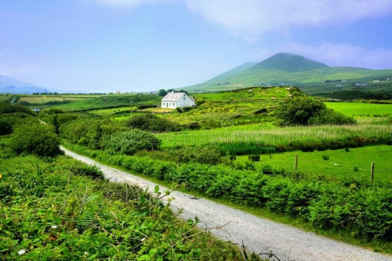 Cuáles Son Los Requisitos Para Obtener Subsidio Rural Con Sitio Propio