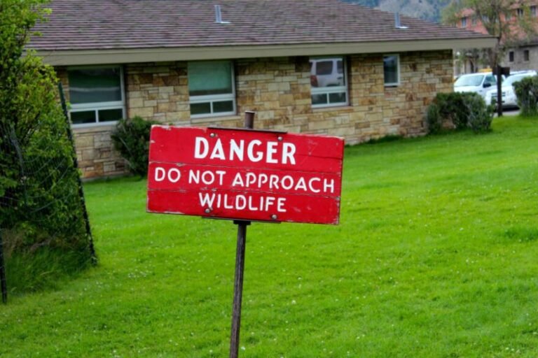 Qué es una orden de alejamiento por acoso y cómo solicitarla en Chile 15 casa con senal de prohibido acercarse