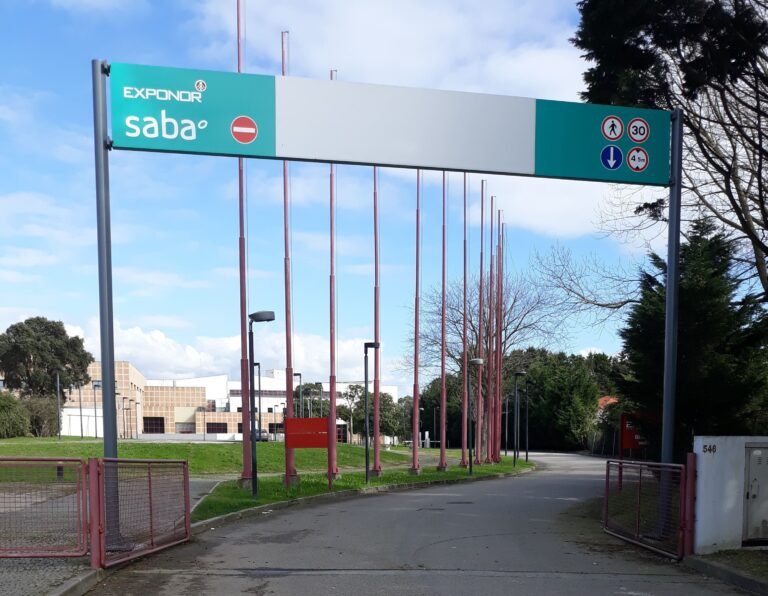 Dónde Queda y Cómo Funciona el Estacionamiento Saba Santa Rosa