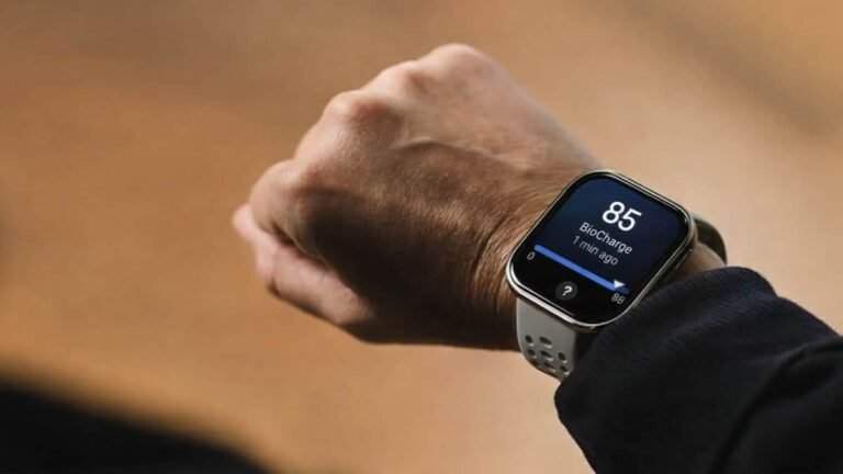 Cómo puedo cargar la tarjeta Bip por internet en Chile