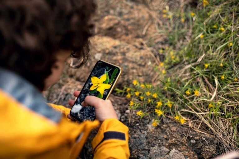 Cuál es la Mejor Aplicación para Identificar Plantas Fácilmente 29 persona usando telefono para identificar planta